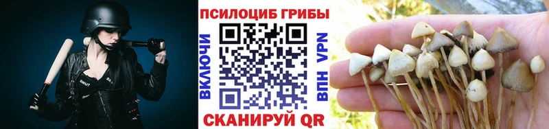 Галлюциногенные грибы мицелий  Купить закладки  Дрезна 